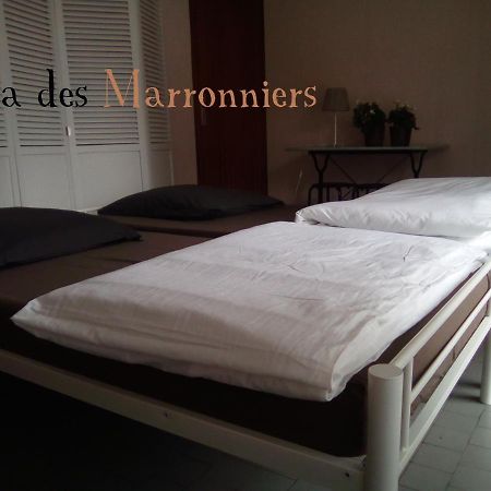 Villa Des Marronniers 미랑드 외부 사진